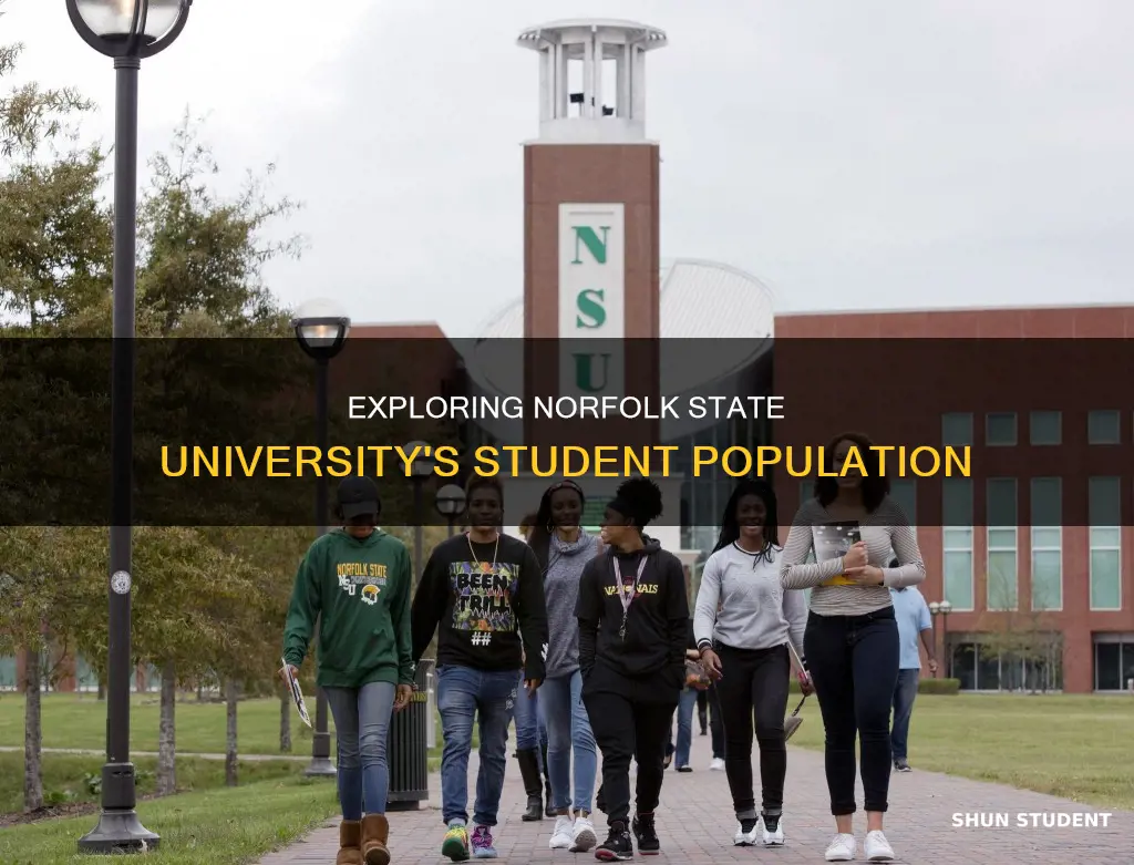 how many students at norfolk state university