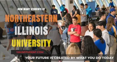 Northeastern Illinois University: Unveiling Student Population Insights