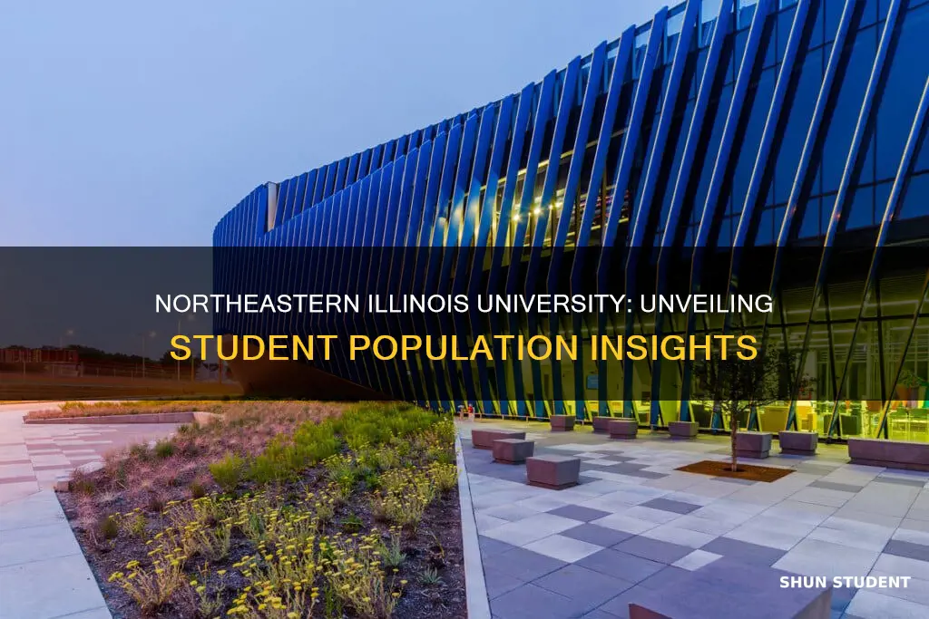 how many students at northeastern illinois university