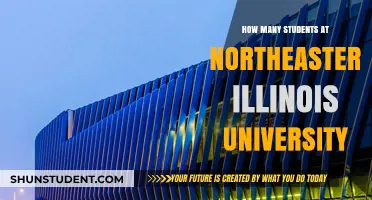 Discover Northeastern Illinois University's Student Population