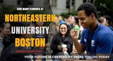 Northeastern University's Student Population: A Comprehensive Overview