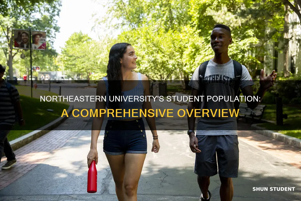 how many students at northeastern university boston