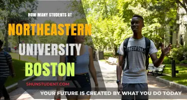 Discover Northeastern University Boston's Student Population