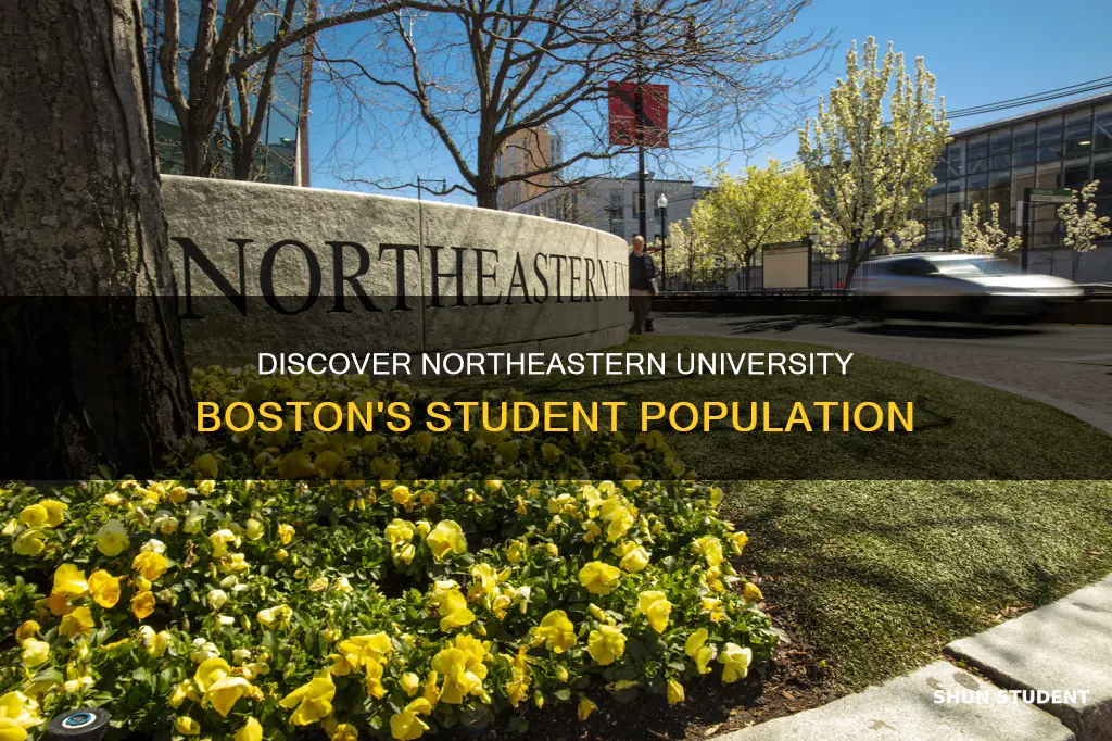 how many students at northeastern university boston
