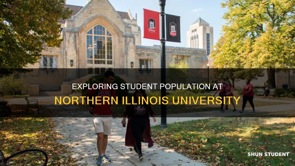 how many students at northern illinois university