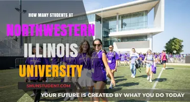Illinois Northwestern: Student Population Insights