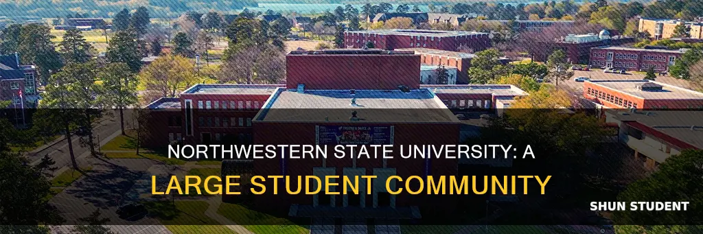how many students at northwestern state university