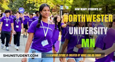 Northwestern University MN: Unveiling Student Population Insights