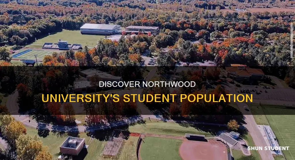 how many students at northwood university