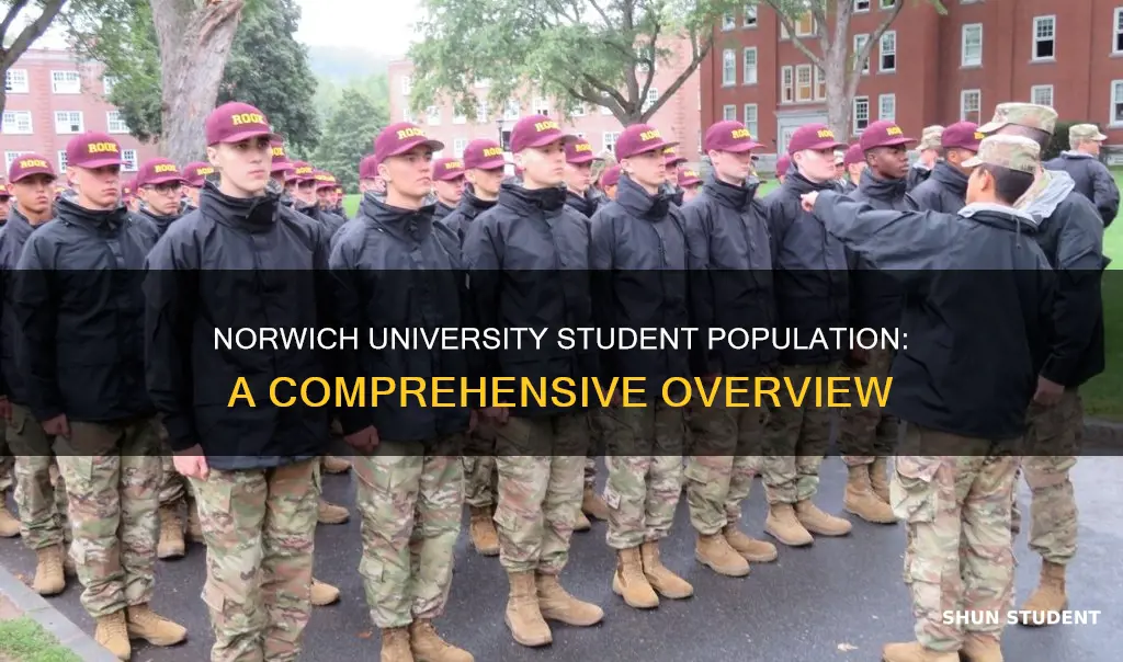 how many students at norwich university