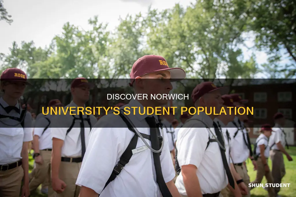 how many students at norwich university