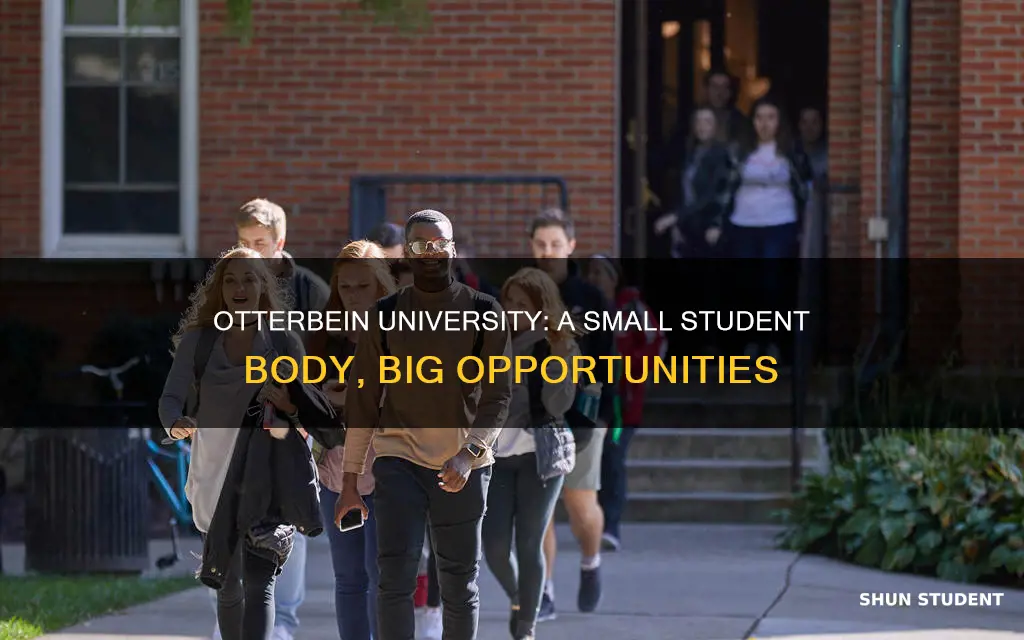 how many students at otterbein university