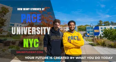 Pace University's Student Population: A Comprehensive Overview