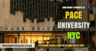 Pace University NYC: Student Population Insights