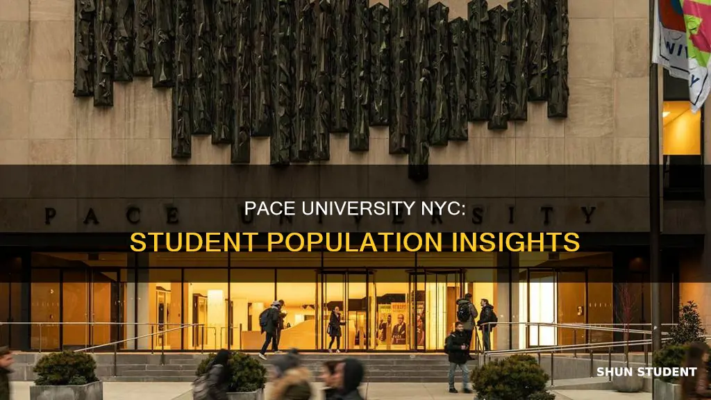 how many students at pace university nyc