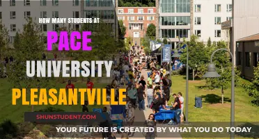 Pace University's Student Population: A Comprehensive Overview