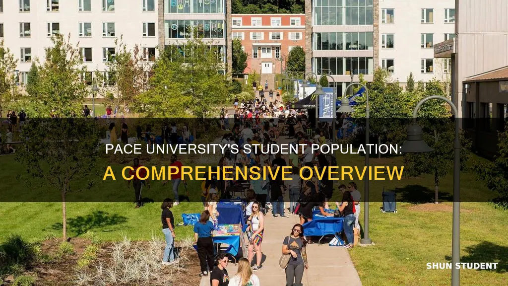 how many students at pace university pleasantville