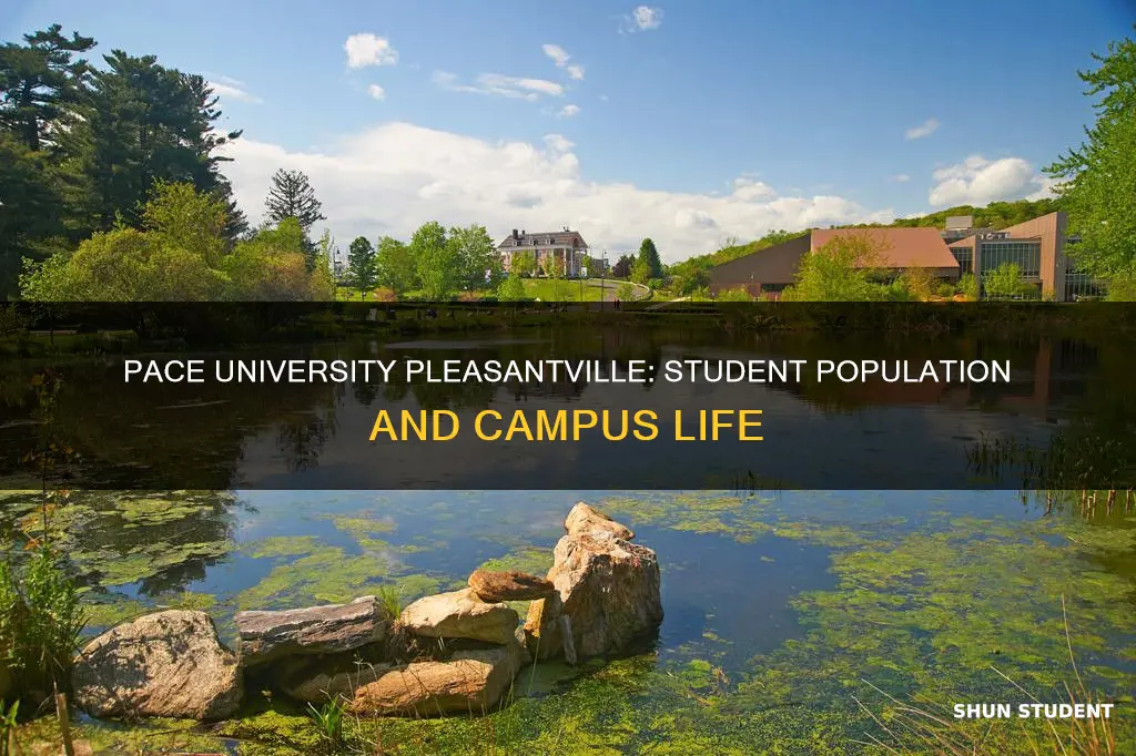 how many students at pace university pleasantville