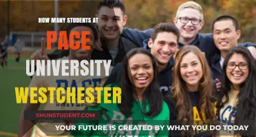 Pace University Westchester: Unveiling Student Population Insights