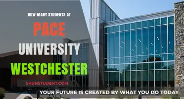 Pace University Westchester: Student Population and Campus Life
