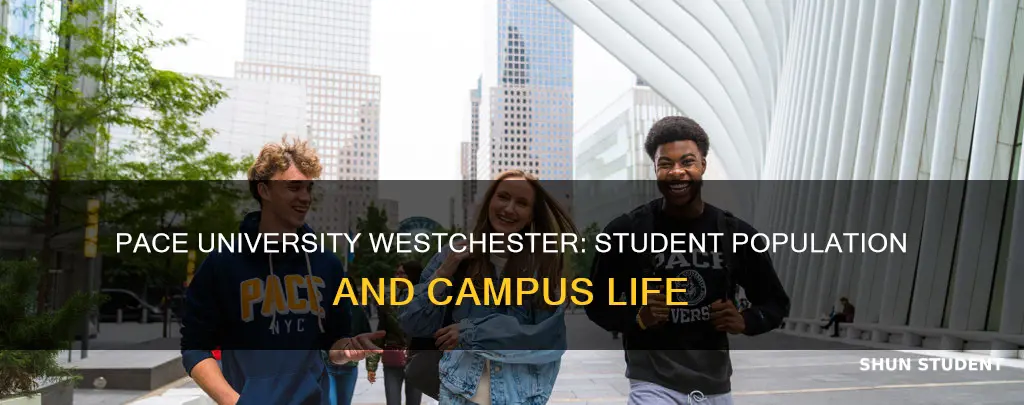 how many students at pace university westchester