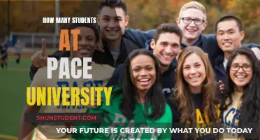 Pace University's Student Population: A Comprehensive Overview