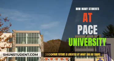 Pace University: Student Population Insights