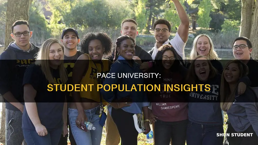 how many students at pace university