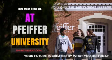 Pfeiffer University's Student Population: A Comprehensive Overview