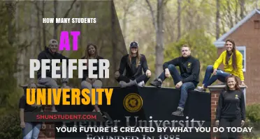 Exploring Pfeiffer University's Student Population