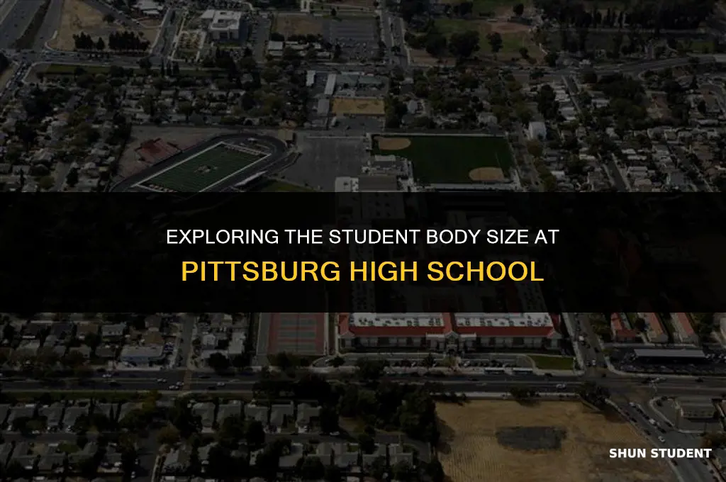 how many students at pittsburg high school