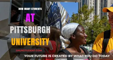 Unveiling the Student Population: Pittsburgh University's Enrolment Mystery