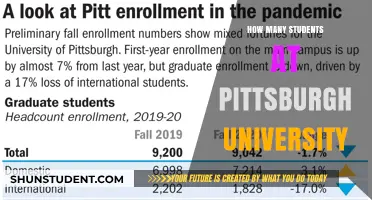 Exploring Pittsburgh University's Student Population