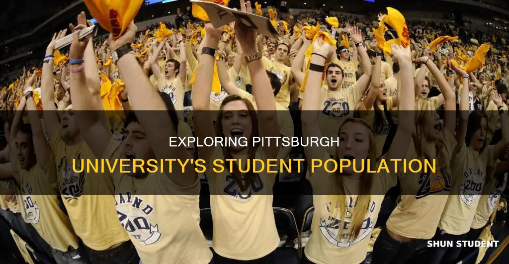 how many students at pittsburgh university