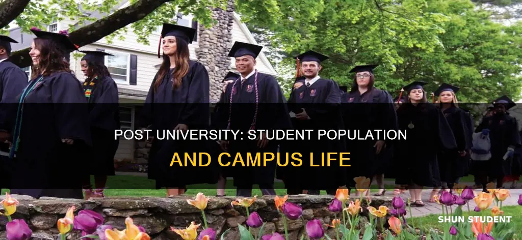 how many students at post university