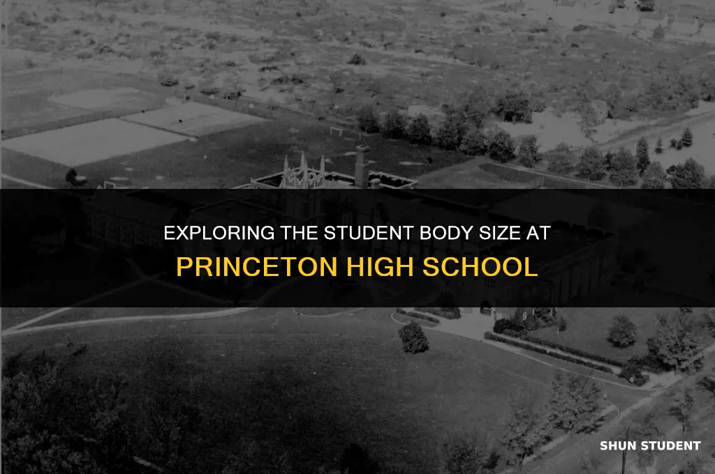 how many students at princeton high school
