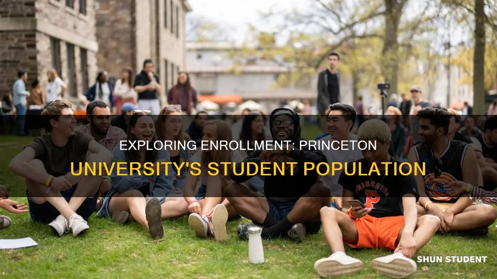 how many students at princeton university