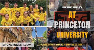 Princeton University's Student Population: A Comprehensive Overview