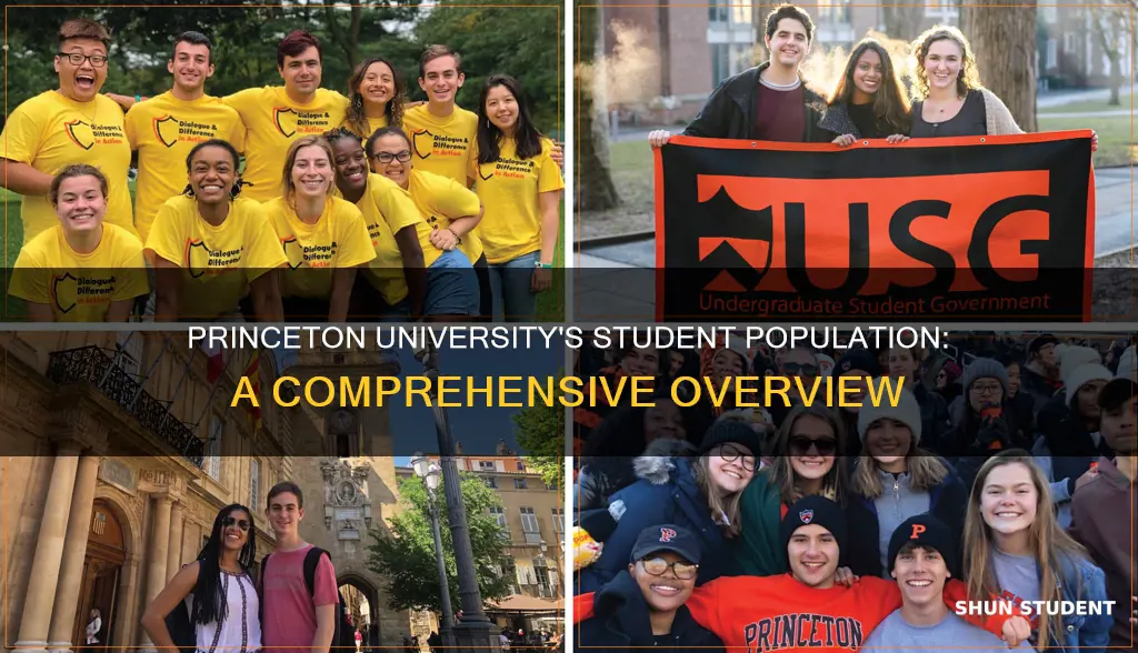 how many students at princeton university