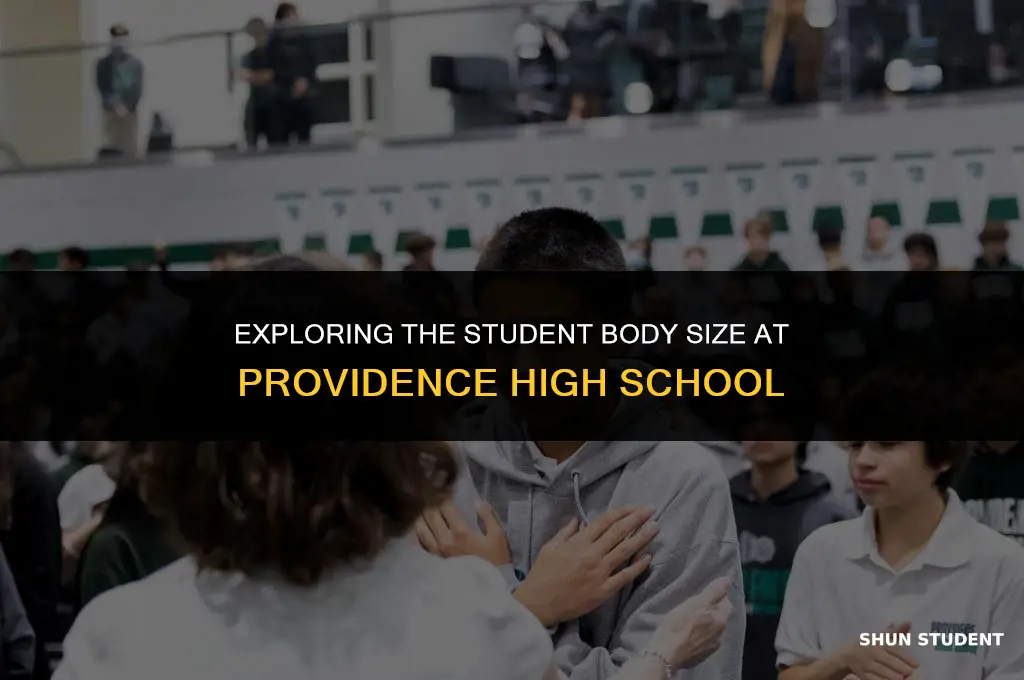 how many students at providence high school