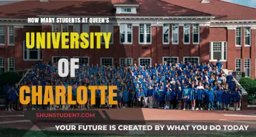 Queen's University of Charlotte: Student Population Insights