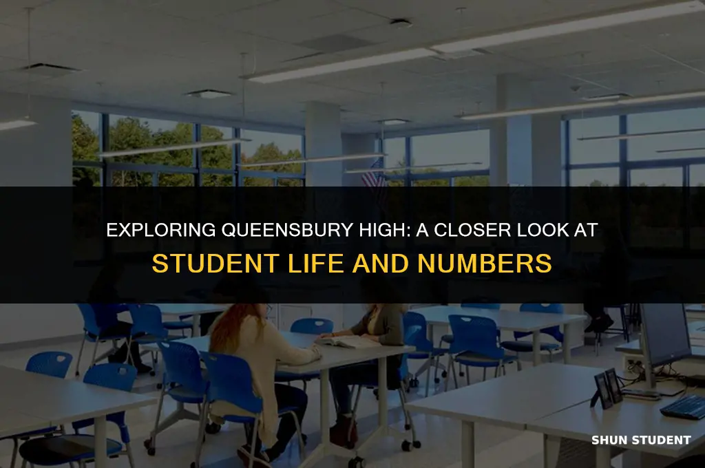 how many students at queensbury high schol
