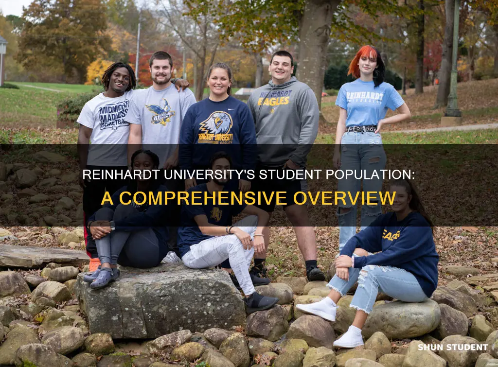 how many students at reinhardt university