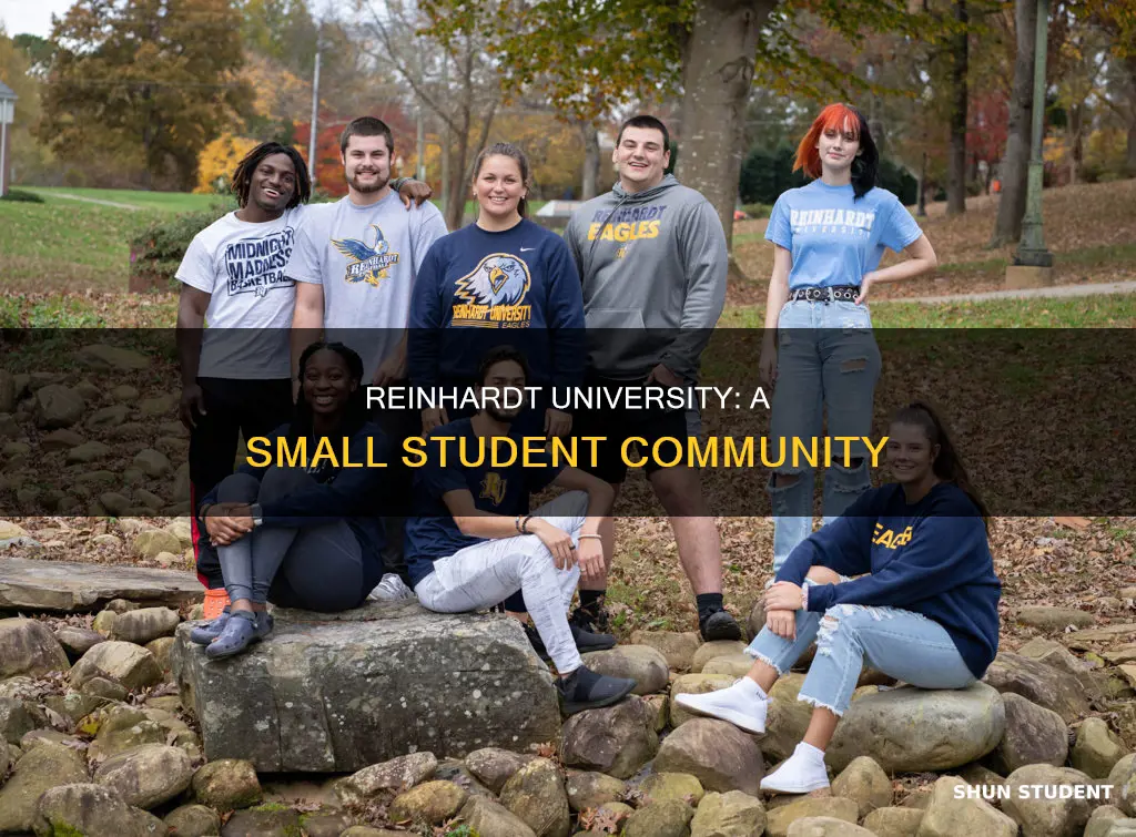 how many students at reinhardt university