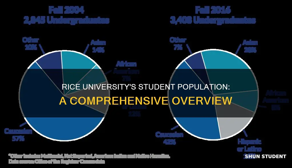 how many students at rice university