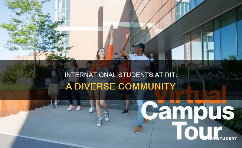 how many students at rit are international students