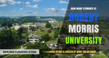 Robert Morris University: Student Population Insights