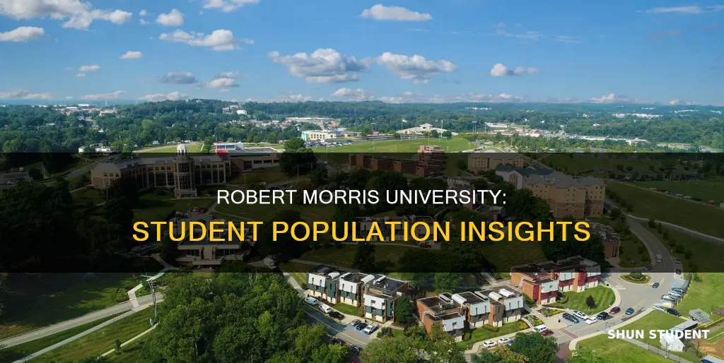 how many students at robert morris university