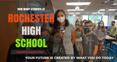 Exploring the Student Body: A Closer Look at Rochester High School
