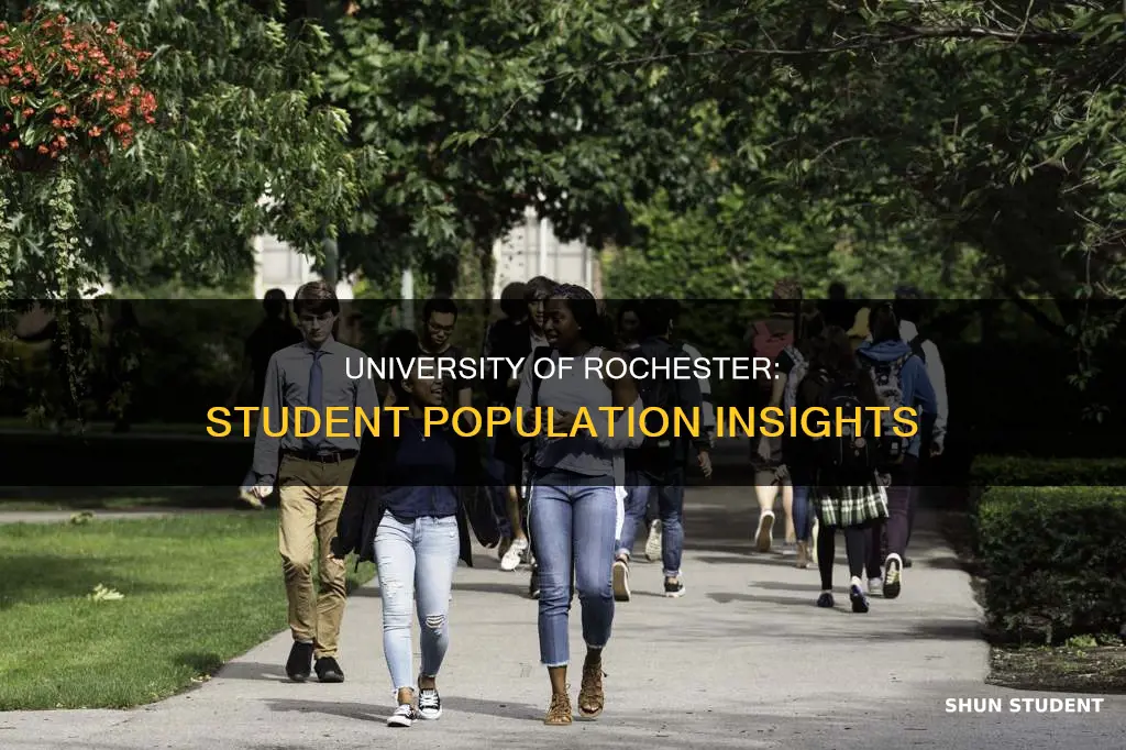 how many students at rochester university